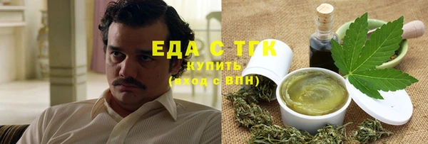 хмурый Абаза