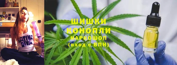 ПСИЛОЦИБИНОВЫЕ ГРИБЫ Алзамай