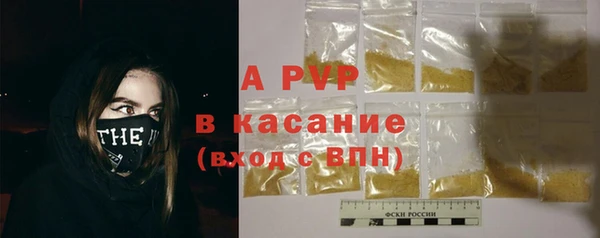 хмурый Абаза