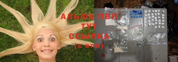 твердый Алексин