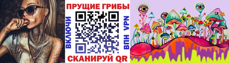 Псилоцибиновые грибы Magic Shrooms  кракен ссылки  Кинешма  купить наркотик 