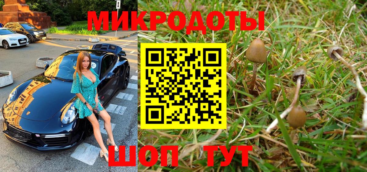 Галлюциногенные грибы мицелий Кинешма